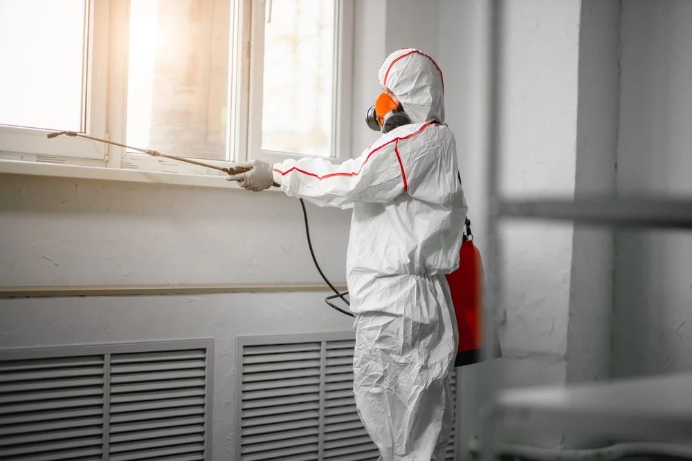 Professional mold remediation services in Greendale, WI